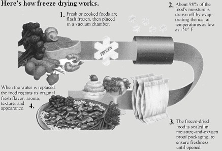The freeze drying process